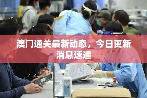 澳门通关最新动态，今日更新消息速递