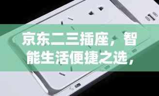 京东二三插座,智能生活便捷之选,百度一搜即达