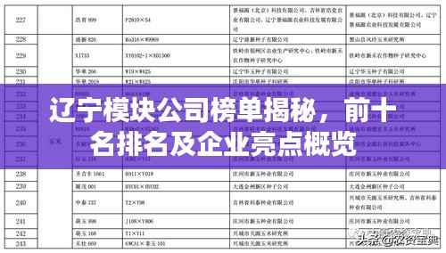 辽宁模块公司榜单揭秘,前十名排名及企业亮点概览