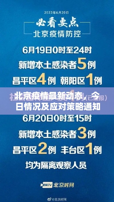 北京疫情最新动态,今日情况及应对策略通知