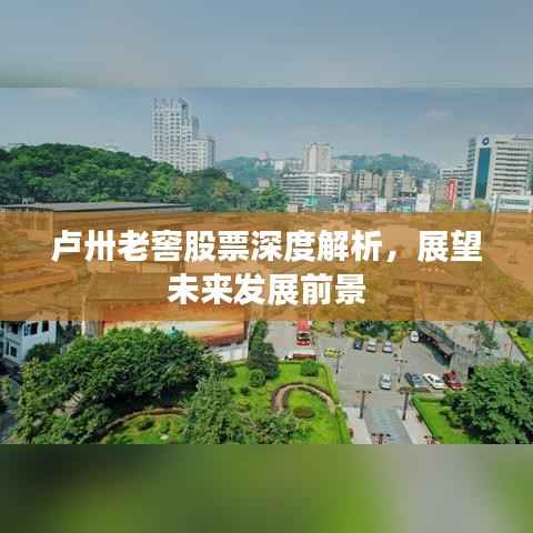 卢卅老窖股票深度解析,展望未来发展前景