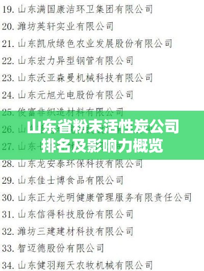 山东省粉末活性炭公司排名及影响力概览