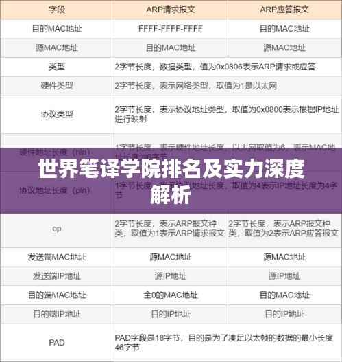 世界笔译学院排名及实力深度解析